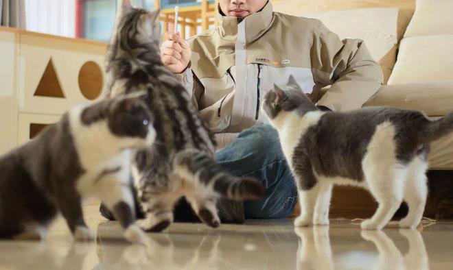 猫狗粮暴赚230亿身家开元棋牌试玩聊城老板卖(图7)