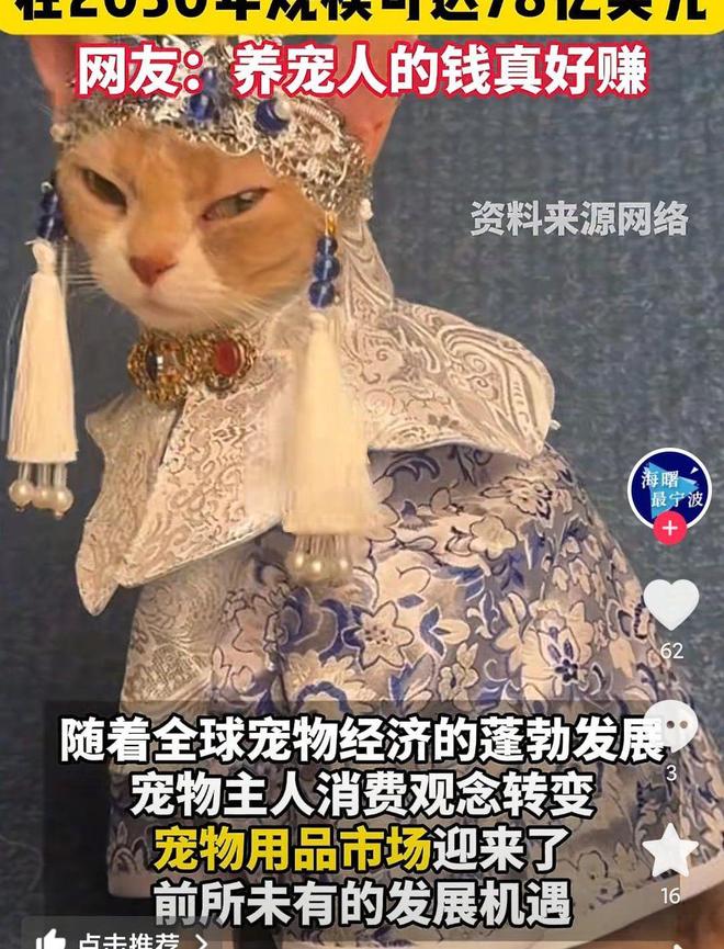 婴幼儿奶粉2倍！网友：活的猫狗还不如开元ky棋牌猫狗一年消费3000亿是(图2)