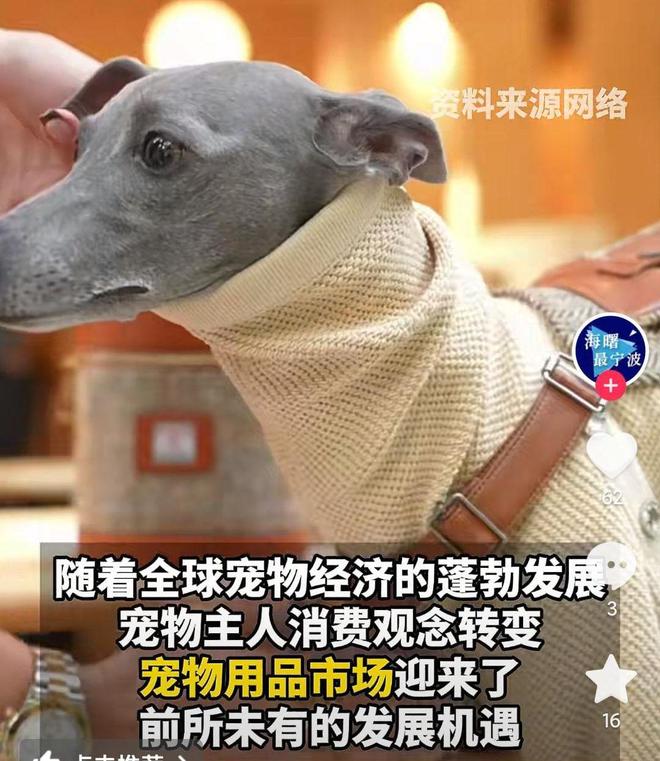 婴幼儿奶粉2倍！网友：活的猫狗还不如开元ky棋牌猫狗一年消费3000亿是(图3)