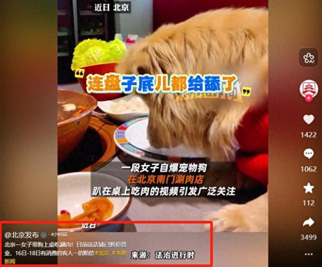 脸曝光是惯犯逆天言论被扒还在旅游开元棋牌女子带狗上桌吃肉后续:正(图13) 脸曝光是惯犯逆天言论被扒还在旅游开元棋牌女子带狗上桌吃肉后续:正(图13)