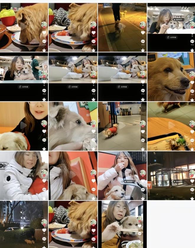 脸曝光是惯犯逆天言论被扒还在旅游开元棋牌女子带狗上桌吃肉后续:正(图14) 脸曝光是惯犯逆天言论被扒还在旅游开元棋牌女子带狗上桌吃肉后续:正(图14)