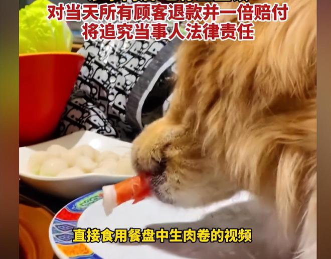 脸曝光是惯犯逆天言论被扒还在旅游开元棋牌女子带狗上桌吃肉后续:正(图11) 脸曝光是惯犯逆天言论被扒还在旅游开元棋牌女子带狗上桌吃肉后续:正(图11)